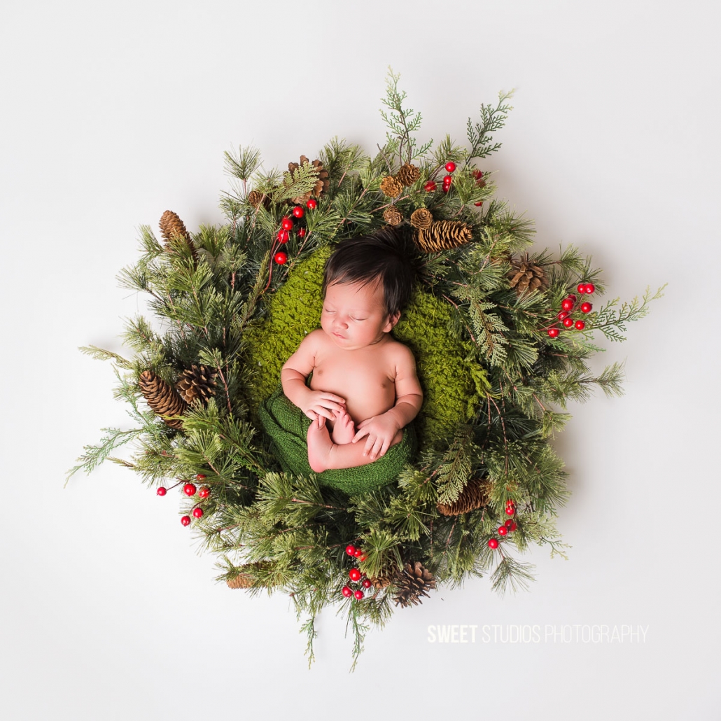 Akron Cleveland Newborn Baby Family Kids Photographer Kriste Radicelli Sweet Studios Photography