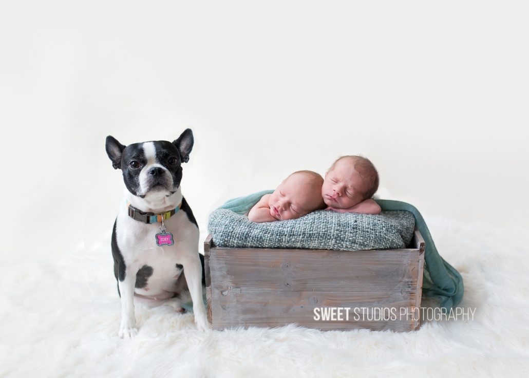 Akron Cleveland Newborn Baby Family Kids Photographer Kriste Radicelli Sweet Studios Photography